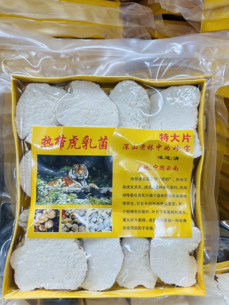 虎乳菌虎乳菇自产自销大量现货半斤装一件40盒价优
