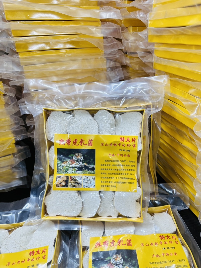 虎乳菌虎乳菇自产自销大量现货半斤装一件40盒价优