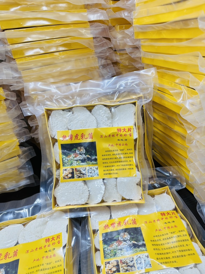 虎乳菌虎乳菇自产自销大量现货半斤装一件40盒价优