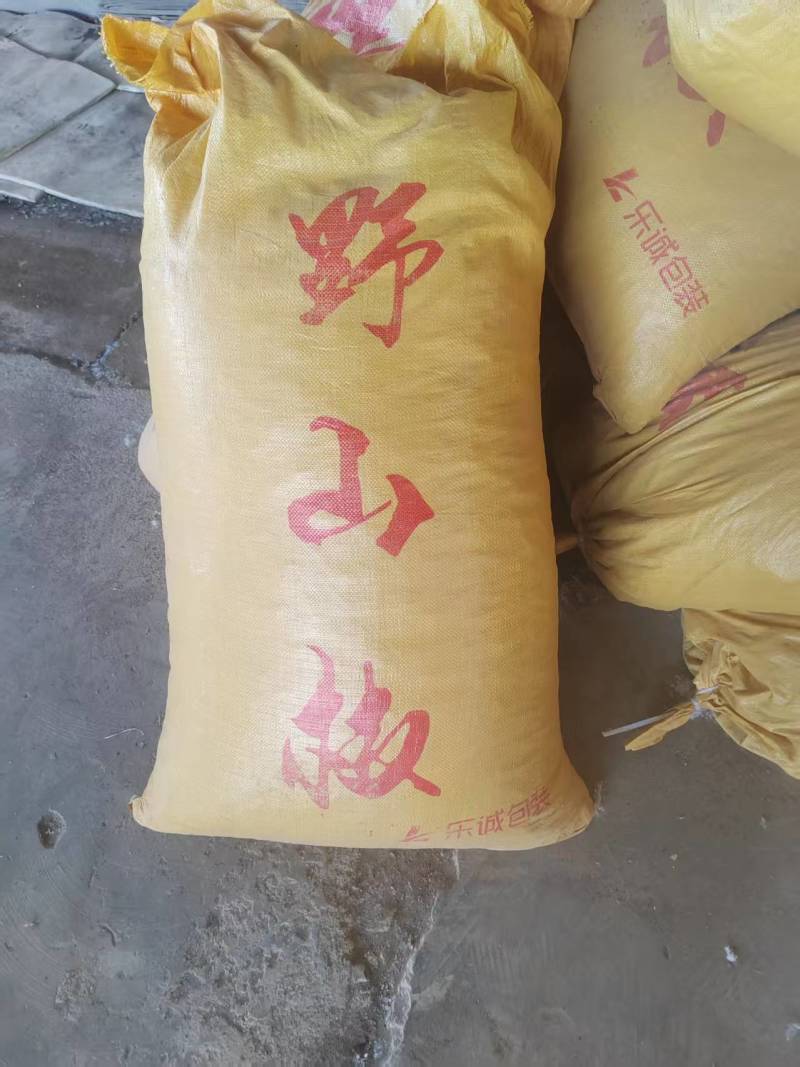河南周口精品干货野山椒干辣椒现货速发大量供应