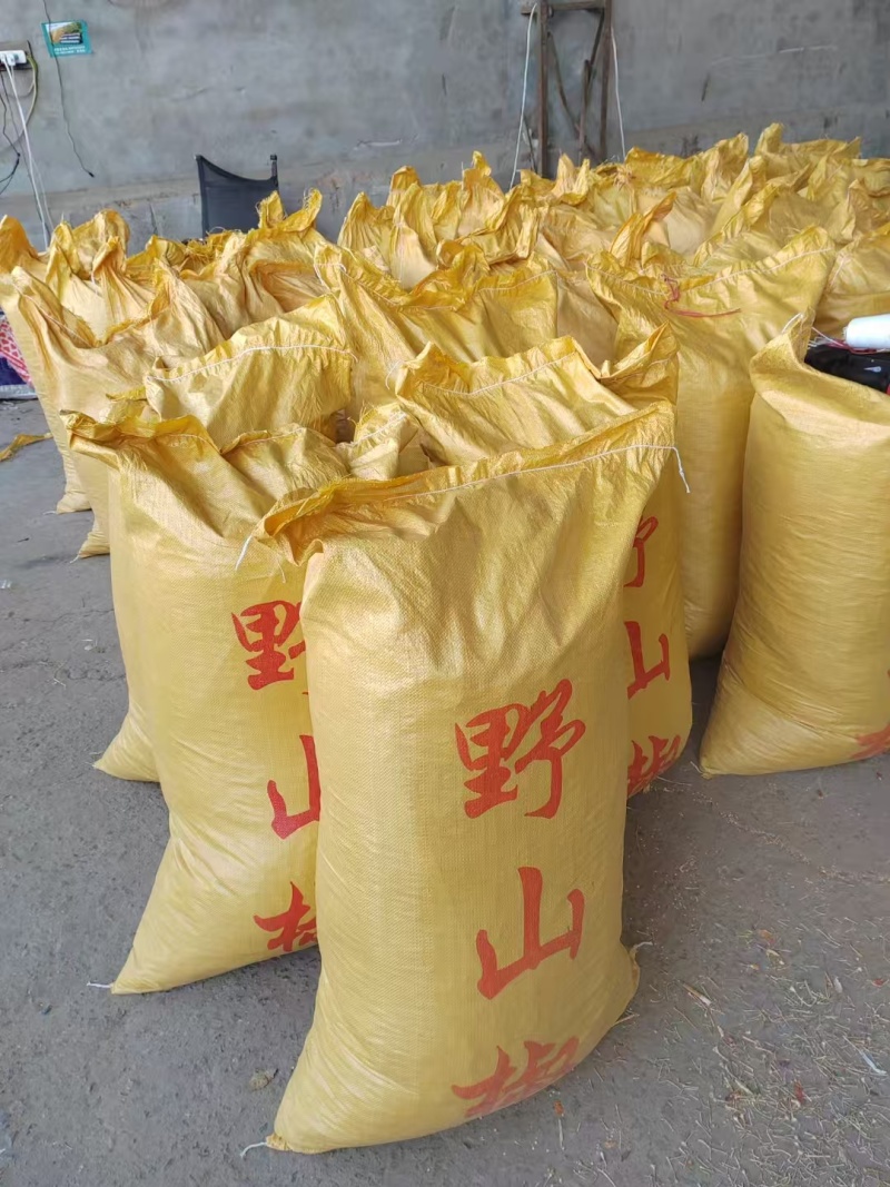 河南周口精品干货野山椒干辣椒现货速发大量供应