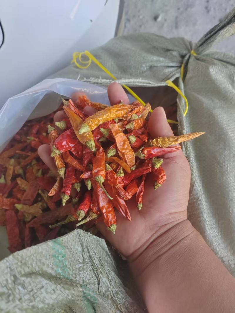 河南周口精品干货野山椒干辣椒现货速发大量供应