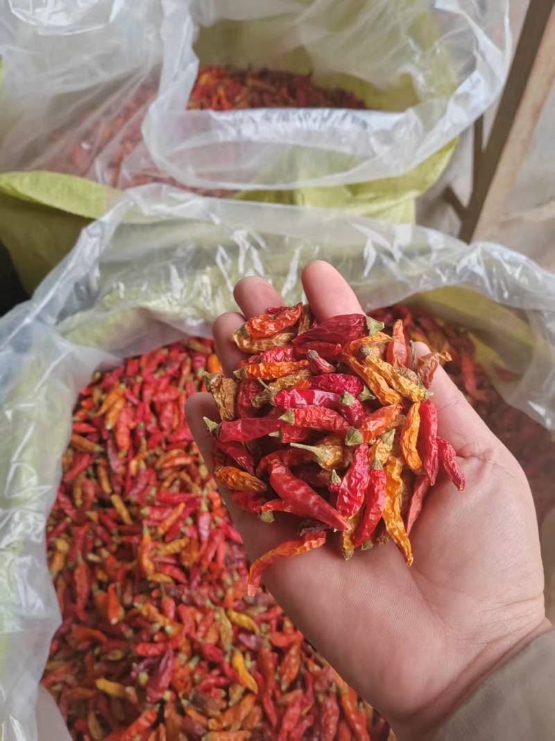 河南周口精品干货野山椒干辣椒现货速发大量供应