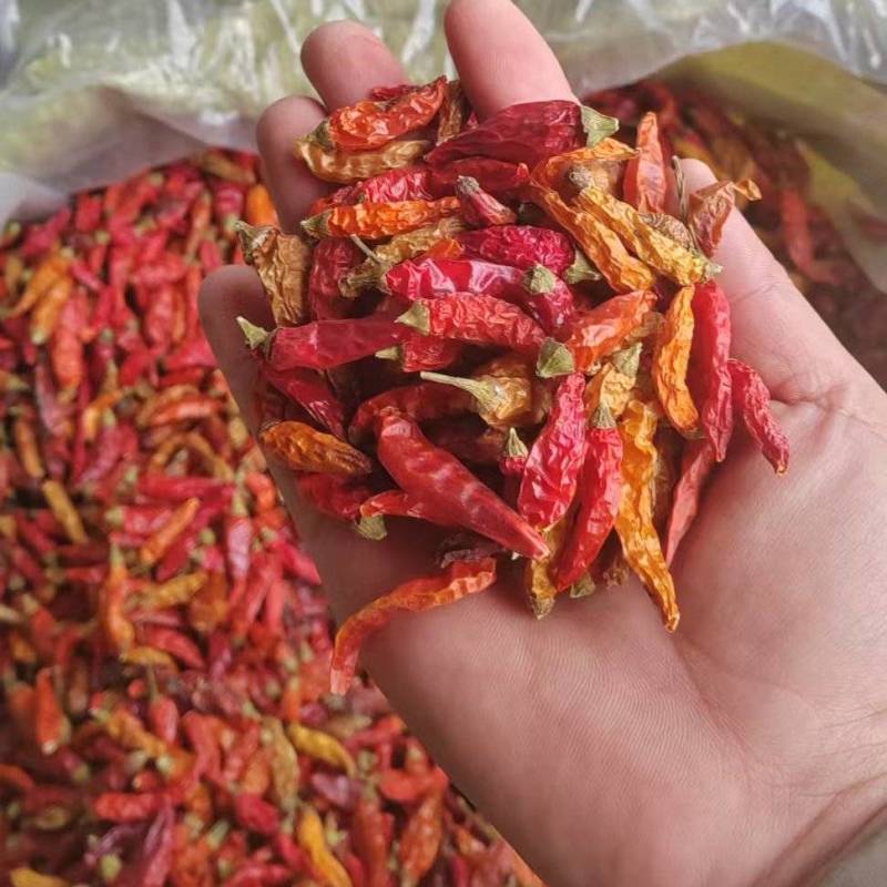 河南周口精品干货野山椒干辣椒现货速发大量供应