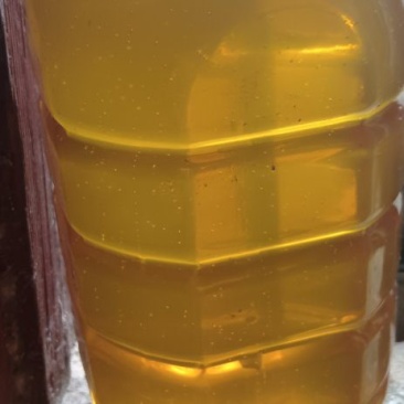 永新土蜂蜜