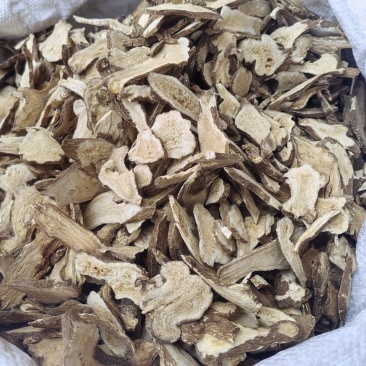 白术批发价格