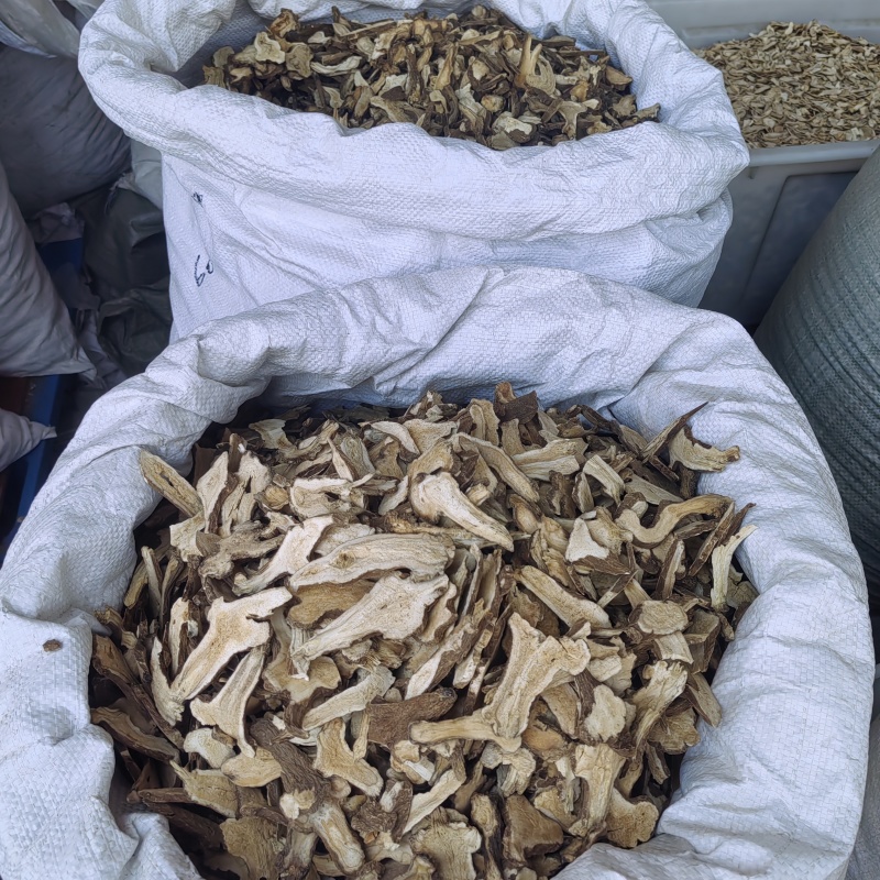 白术批发价格