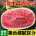 【现货】宁夏沙地瓜糖度高个头大产地大量上货欢迎客商致电