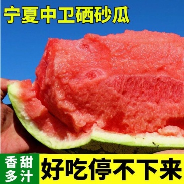 【现货】宁夏沙地瓜糖度高个头大产地大量上货欢迎客商致电