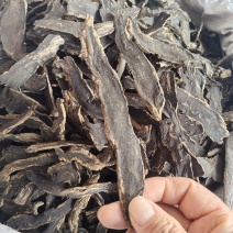 玄参大货价格