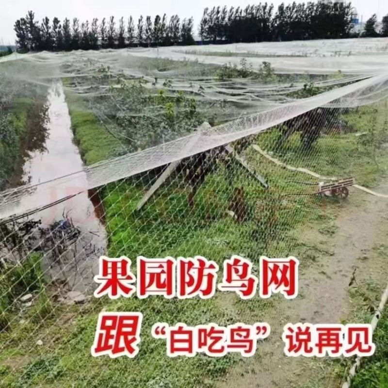 【热卖】庄稼防护网防鸟网源头厂家支持一件代发