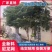 【热卖】庄稼防护网防鸟网源头厂家支持一件代发
