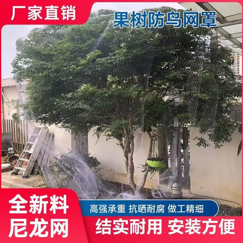 【热卖】庄稼防护网防鸟网源头厂家支持一件代发