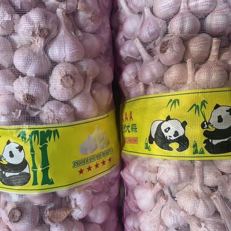 精品白皮蒜，大蒜，大量供应，黑龙江发，欢迎咨询