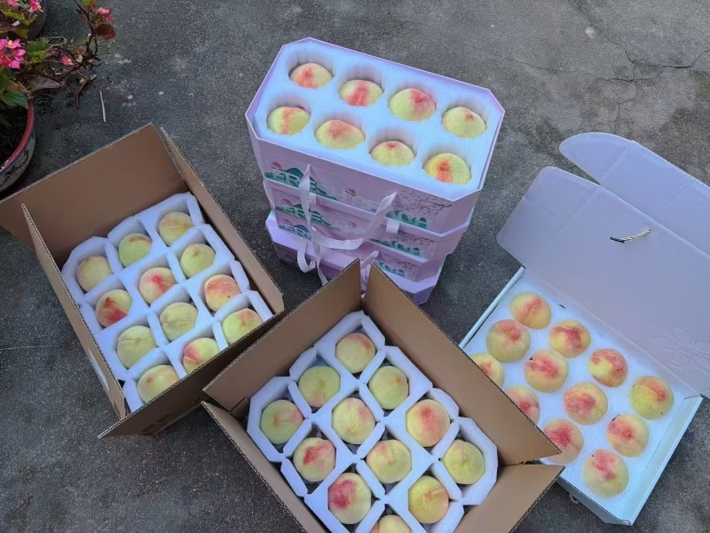 奉化水蜜桃香甜多汁大量上市欢迎来采购