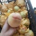 奉化水蜜桃香甜多汁大量上市欢迎来采购
