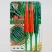 新品种经典100朝天椒种子油亮香辣大果朝天椒种子青红两用