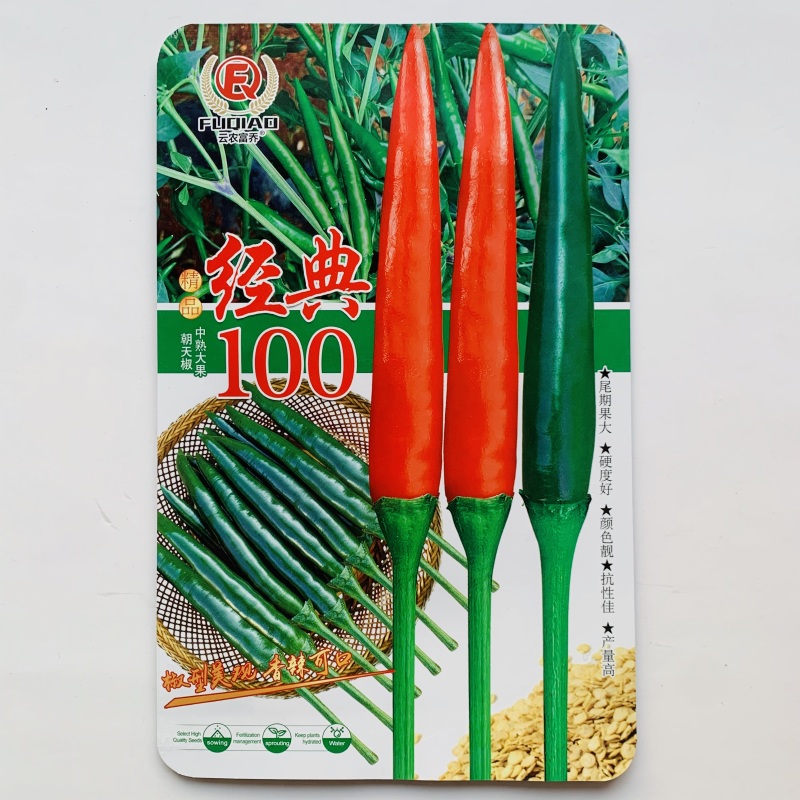 新品种经典100朝天椒种子油亮香辣大果朝天椒种子青红两用