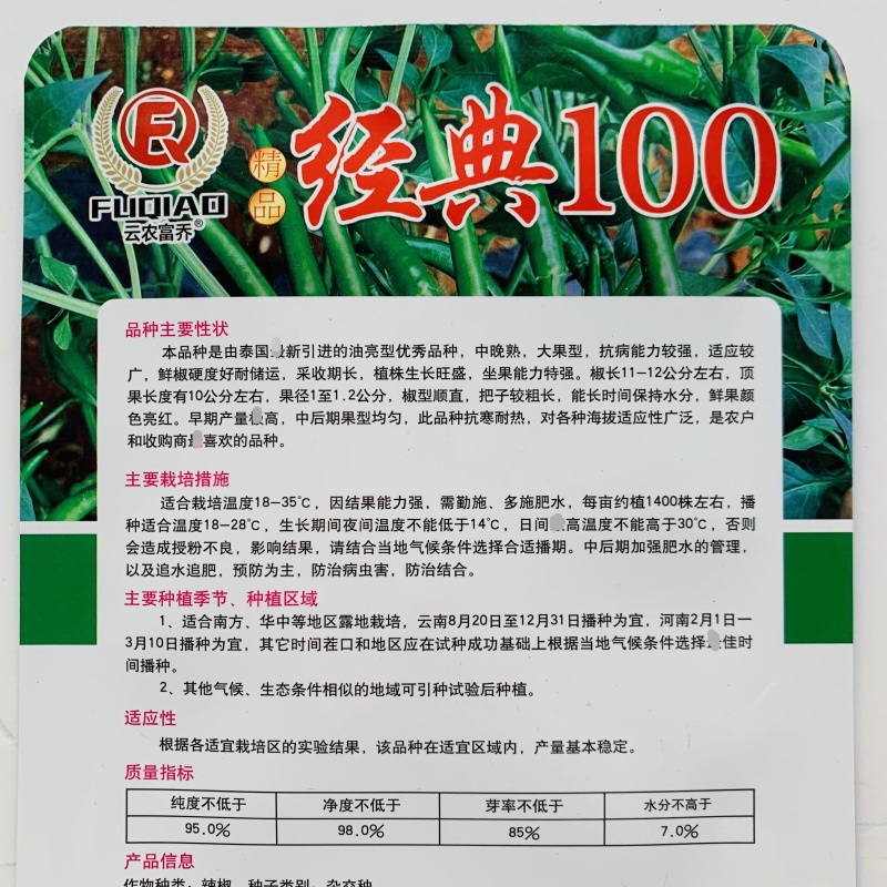 新品种经典100朝天椒种子油亮香辣大果朝天椒种子青红两用