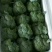 【精品】甘肃定西西蓝花货源充足/优质西蓝花/欢迎来电选购