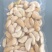 湖北菱角，刚大量上市，适合生吃，清炒，嫩