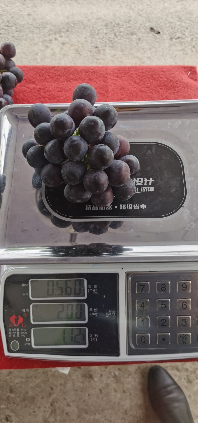 夏黑葡萄，夏黑葡萄，大量上市了。质优价廉量大