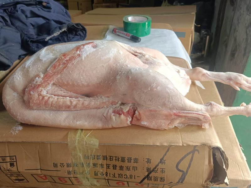 大鹅