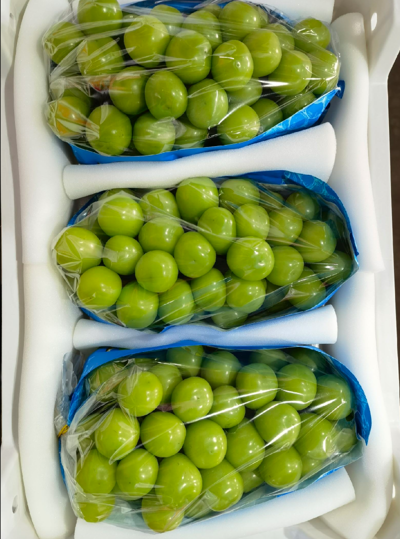 阳光玫瑰，精品，通货