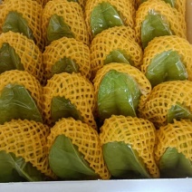 杨桃