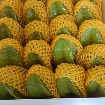 杨桃
