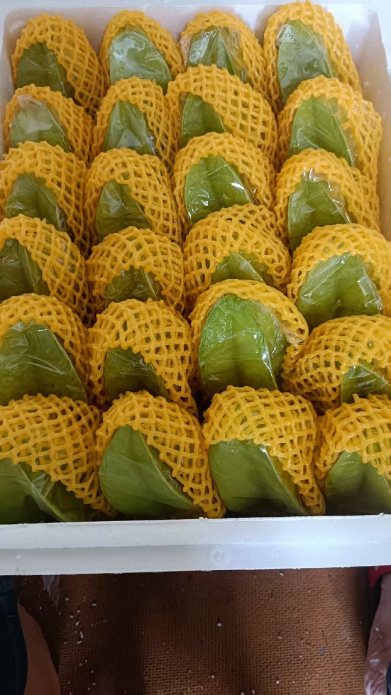 杨桃