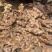 小黄姜香味浓郁辛辣够味现挖山地种植生姜产地直销新鲜姜