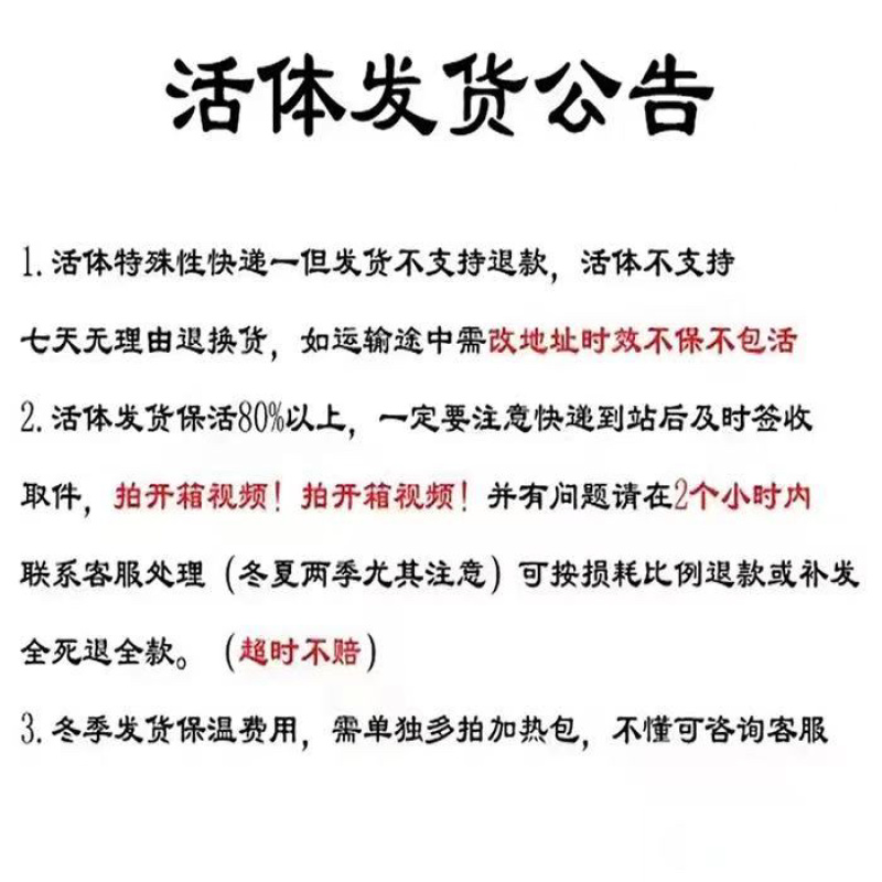 油葫芦蟋蟀山东菏泽大型养殖场对应全国采购商欢迎各位！