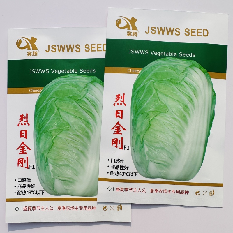 烈日金刚大白菜种子抗高温夏季50天夏阳白菜种籽早熟抗病强