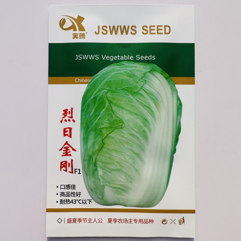 烈日金刚大白菜种子抗高温夏季50天夏阳白菜种籽早熟抗病强