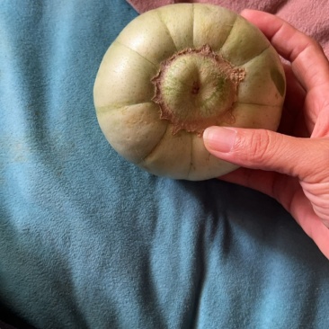 绿宝石