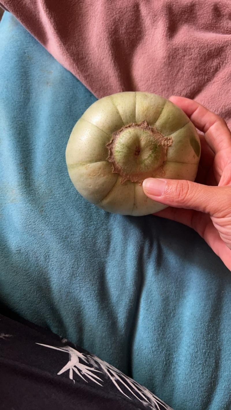 绿宝石