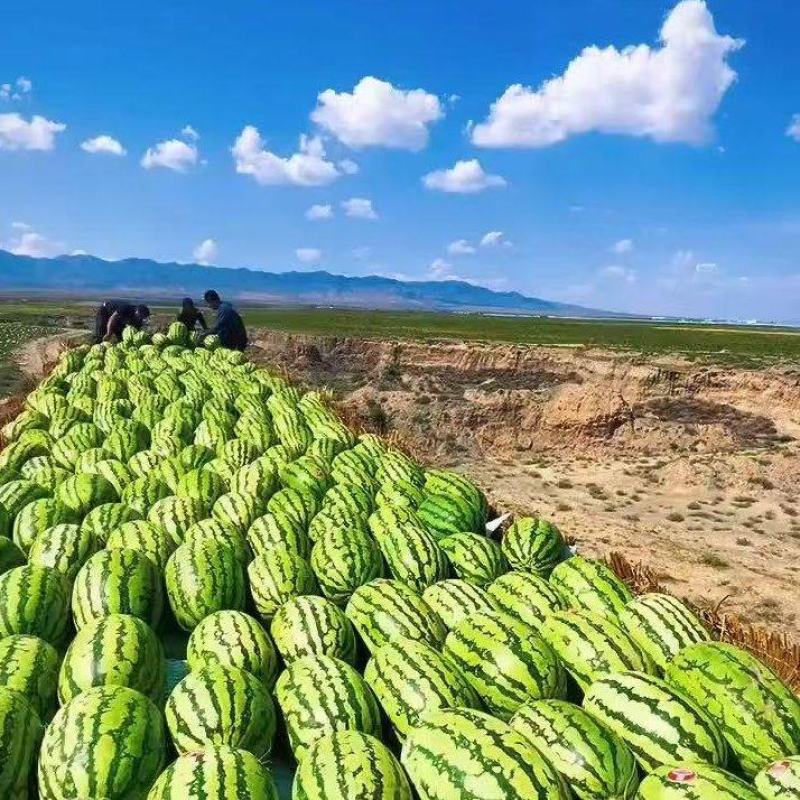 【热卖】石头瓜产地货源品质保障个头大糖度高诚信对接