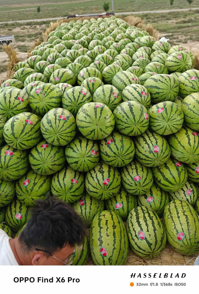【热销】产地硒砂瓜糖度高个头大现货大量上市欢迎联系！