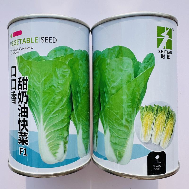 杂交口口香奶油快菜种子耐热耐湿速生蔬菜种籽嫩绿杂交一代