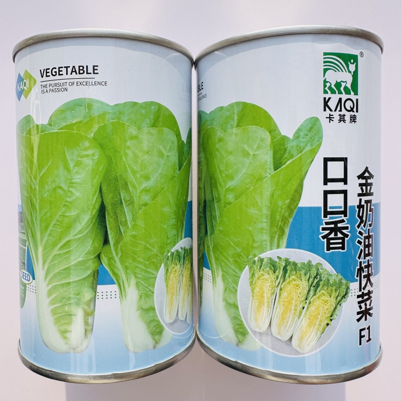 杂交口口香奶油快菜种子耐热耐湿速生蔬菜种籽嫩绿杂交一代