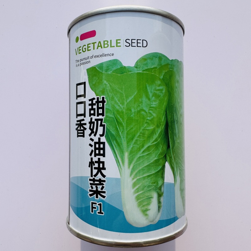 杂交口口香奶油快菜种子耐热耐湿速生蔬菜种籽嫩绿杂交一代