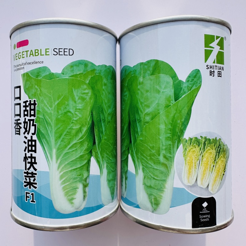 杂交口口香奶油快菜种子耐热耐湿速生蔬菜种籽嫩绿杂交一代