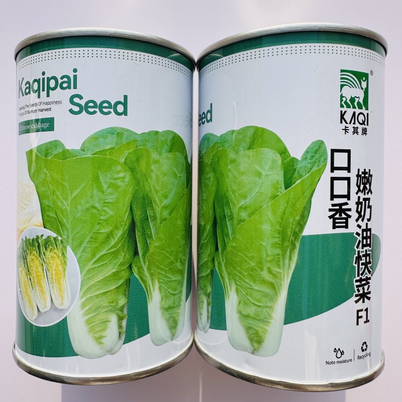 杂交口口香奶油快菜种子耐热耐湿速生蔬菜种籽嫩绿杂交一代