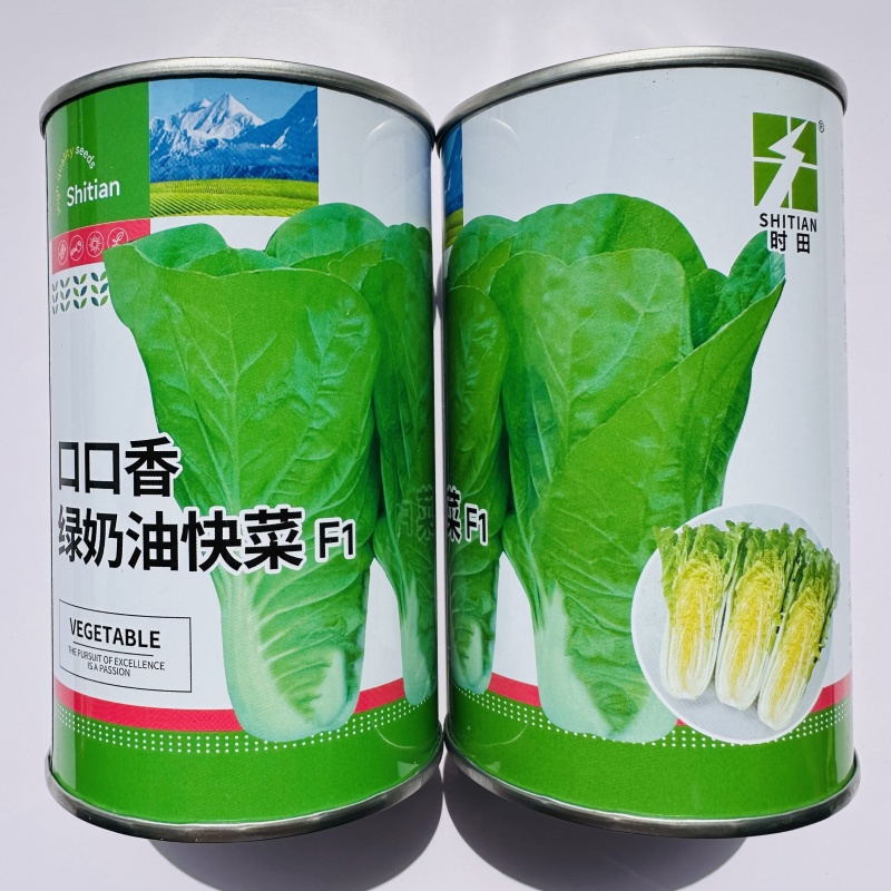 杂交口口香奶油快菜种子耐热耐湿速生蔬菜种籽嫩绿杂交一代