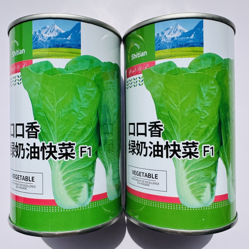 杂交口口香奶油快菜种子耐热耐湿速生蔬菜种籽嫩绿杂交一代