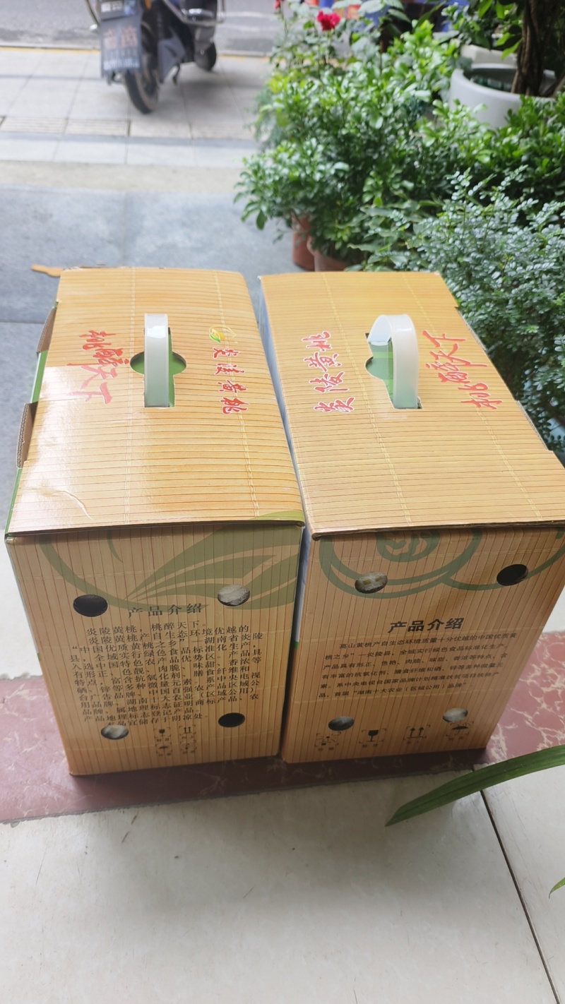 我家主产黄桃猕猴桃