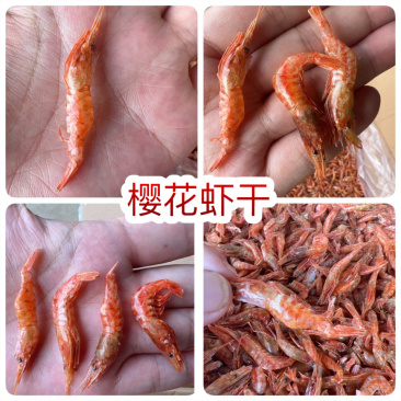 樱花虾干地摊电商批发红虾干干虾虾皮小河虾干