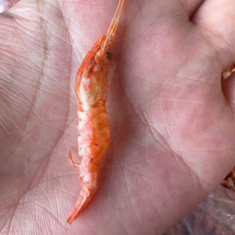 虾干干虾地摊电商批发樱花虾干河虾干干河虾