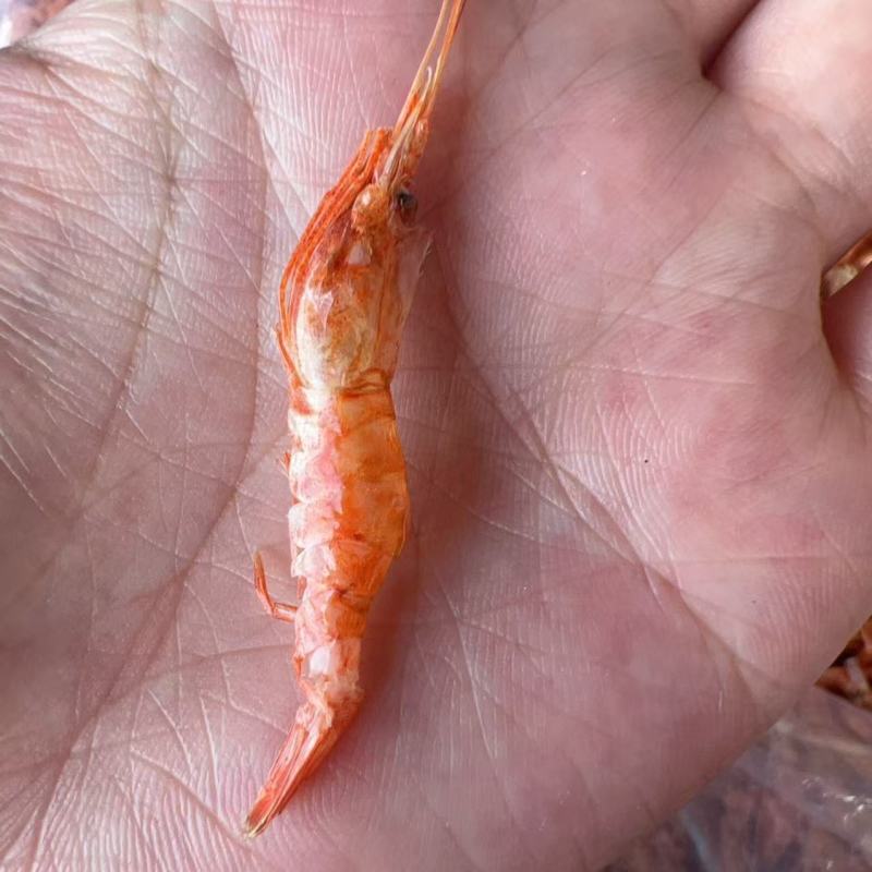 虾干干虾地摊电商批发樱花虾干河虾干干河虾